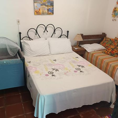 Casa No Morro - Charme Em Meio A Natureza Pertinho Da Praia 3 Dormitorios Sao Sebastiao  Exteriör bild